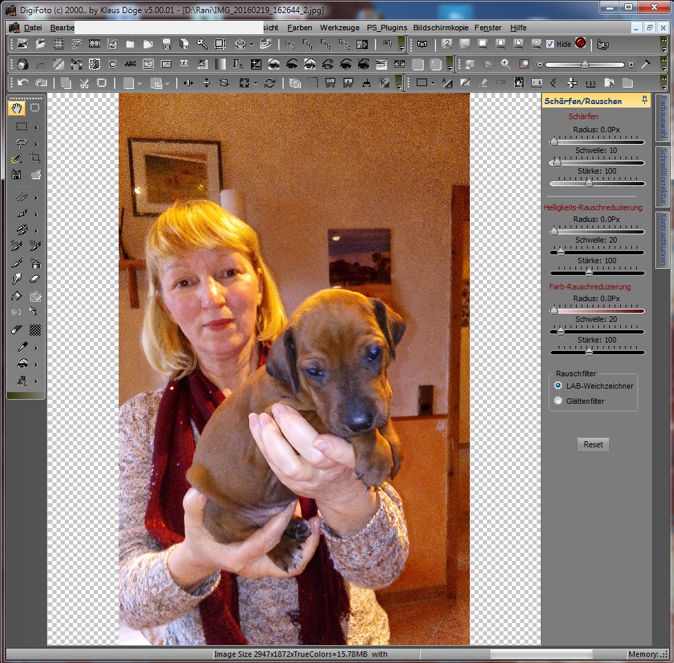 Helligkeitsrauschen1