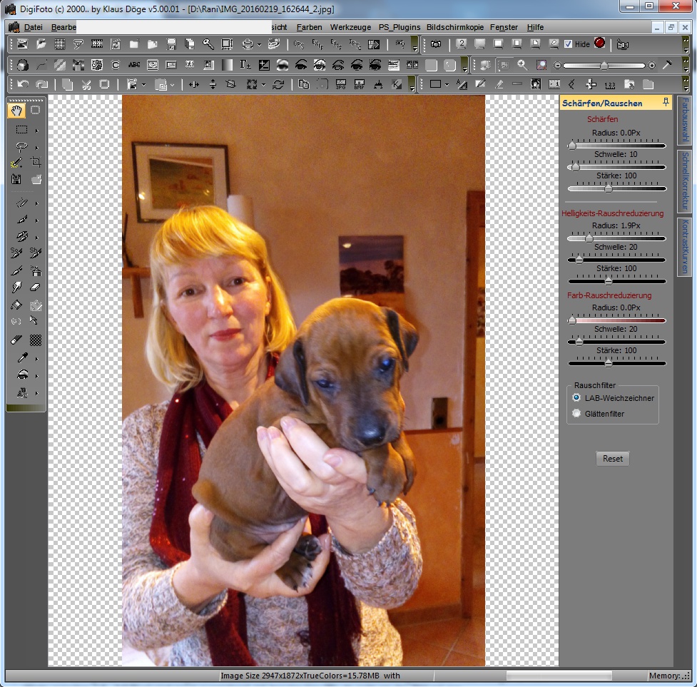 Helligkeitsrauschen2