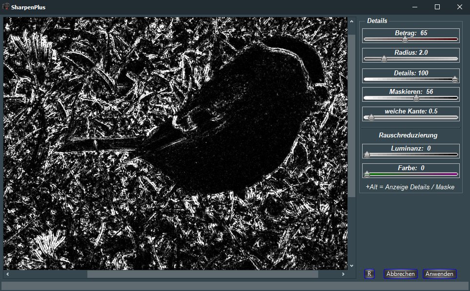 SPMaskeMitteRadKlein